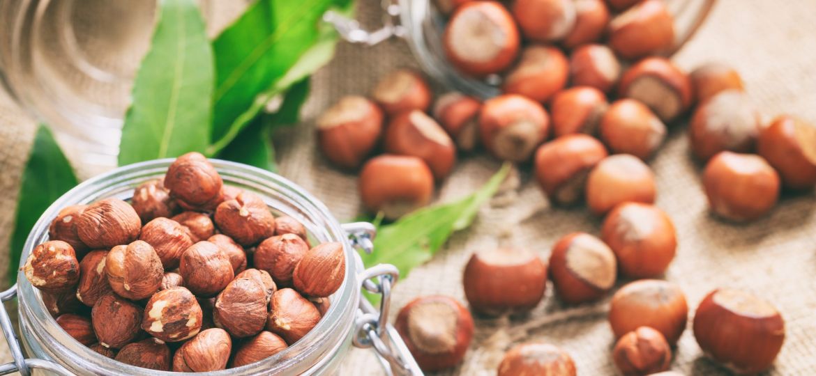 Hazelnuts on a burlap